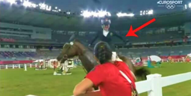 Urge the International Olympic Committee to Ban All Equestrian Events