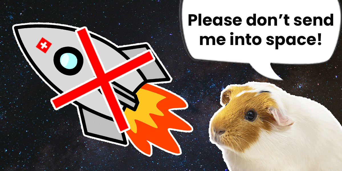guinea pig with speech bubble saying "Please don't send me into space!", looking up at crossed-out rocket taking off