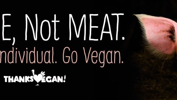 I’m ME, Not MEAT. See The Individual. Go Vegan. ThanksVegan (Pig)