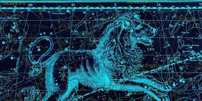 Your Horoscope Says It’s a Good Day to Help Lions–Here’s How