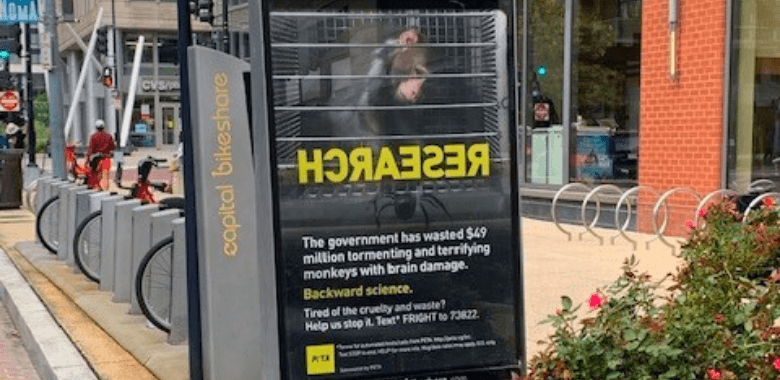 Eye-Catching Ads Blast Elisabeth Murray’s ‘Backward’ Experiments