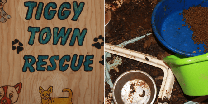 PETA Exposes Starving, Dead Animals at Yet Another ‘Rescue’