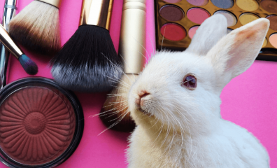 Why This Verdict Is the Perfect Chance to ‘Lash’ Out Against Cosmetics-Testing Cruelty