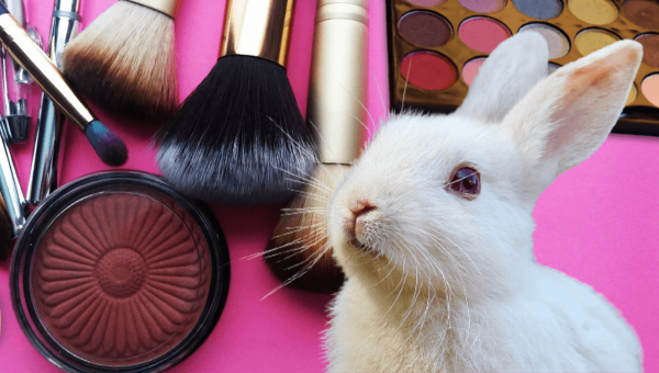 White rabbit surrounded by makeup on pink background