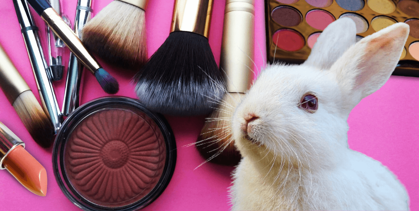 Makeup tester best sale
