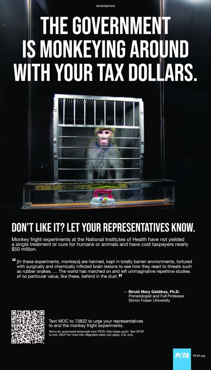 Animal Experimentation Page 1 Peta
