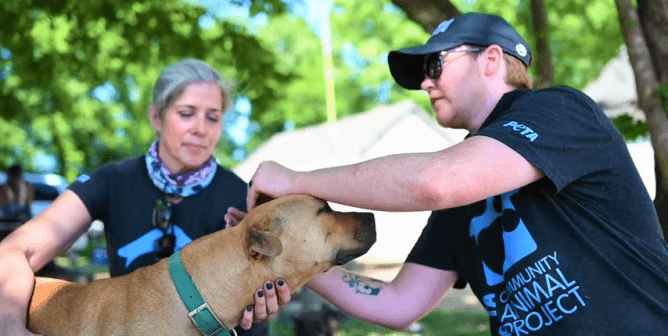 PETA's field team shows agencies how to help dogs and other animals