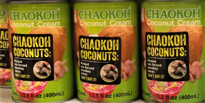 Albertsons, ‘A Taste of Thai,’ and Other Monkey Labor–Free Coconut Product Retailers and Brands