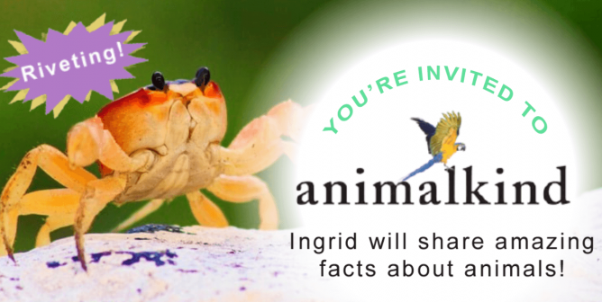 PETA’s President Is Back With a ‘Crabtivating’ End-of-Summer Book Talk