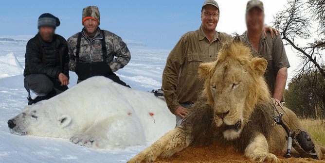 Lion-Killing Physical Therapist From Missouri Lured Mopane From Hwange Park Using an Elephant Carcass (Report)
