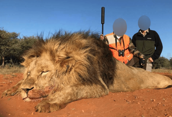 Trophy Hunting South Africa