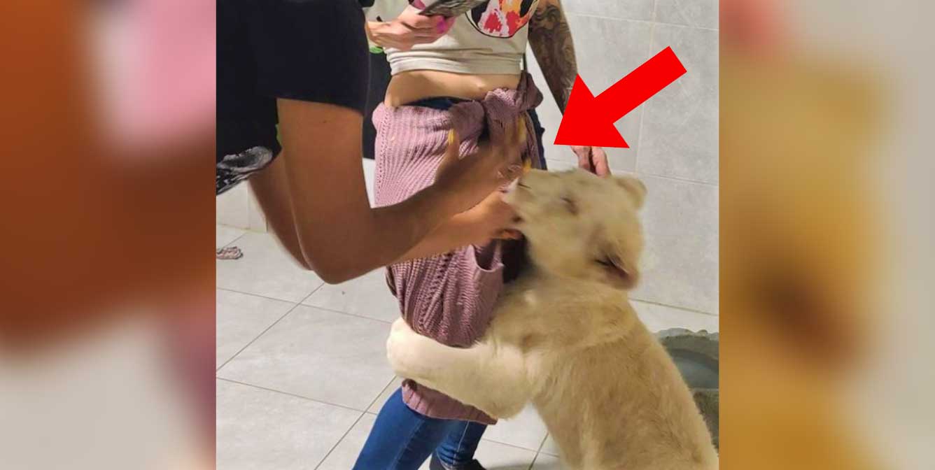 Zoological Wildlife Foundation (ZWF Miami) Cited by Feds PETA