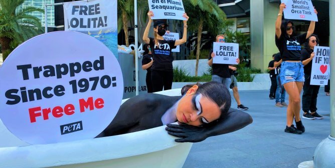 Lolita protest