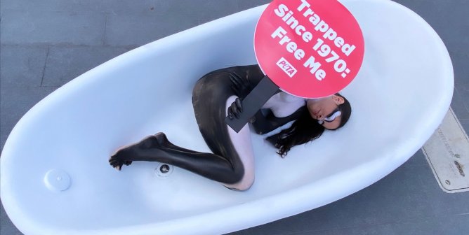 lolita miami 51st protest orca body paint peta