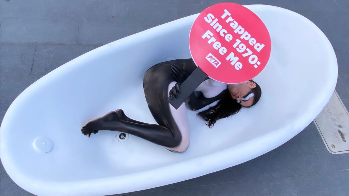 lolita miami 51st protest orca body paint peta