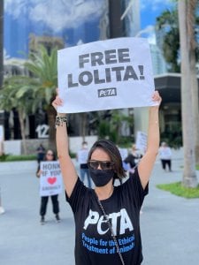 lolita miami protest orca body paint collage right