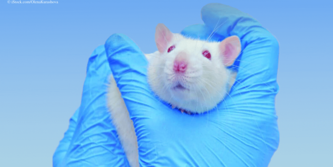 After Rutgers Kills 23,000 Animals, It Gets Tax Bailout—PETA Demands an Audit