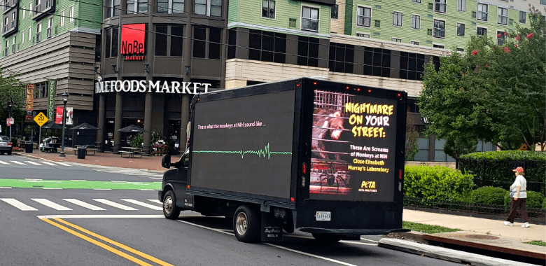 PETA’s Mobile Video Billboard Rolls Into Monkey Tormenter’s Town