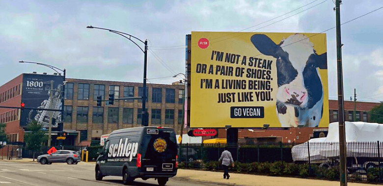 Chicago Cow Serves Passersby Food for Thought