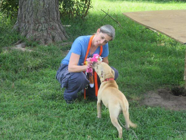 peta fieldworker playing with dog