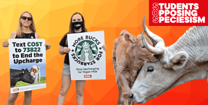 Students Unite to Demand That Starbucks Remove Vegan Milk Surcharge