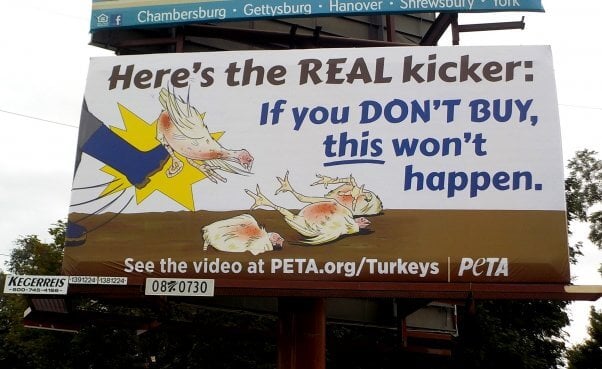 New Billboard Lays Bare Hidden Abuses at ‘Humane’ Farms