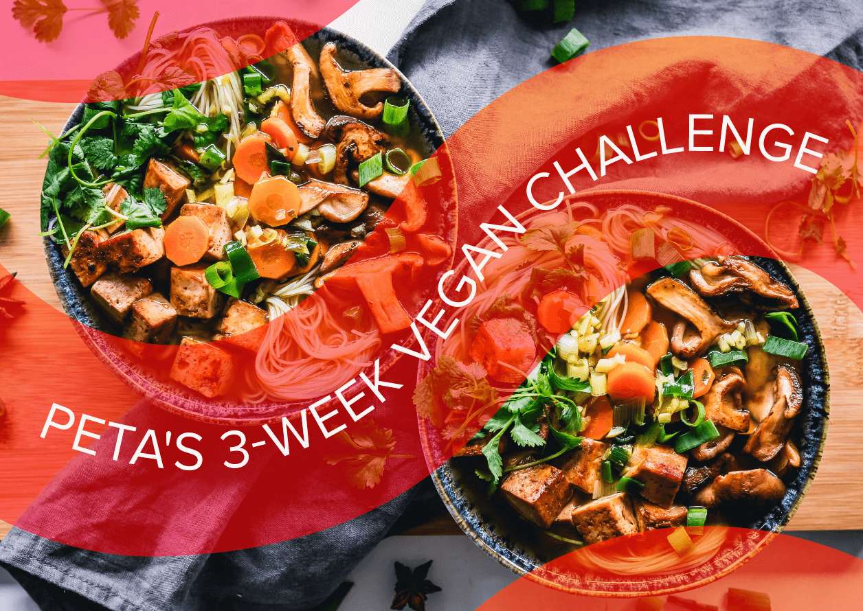 PETA's 3-Week Vegan Challenge text with noodle bowl