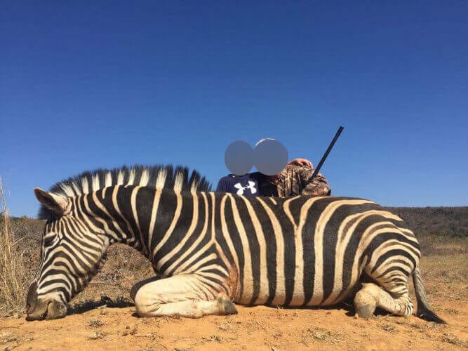Hunters posing next to dead zebra