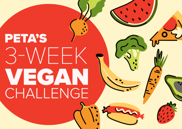 PETA's 3 week vegan challenge illustration