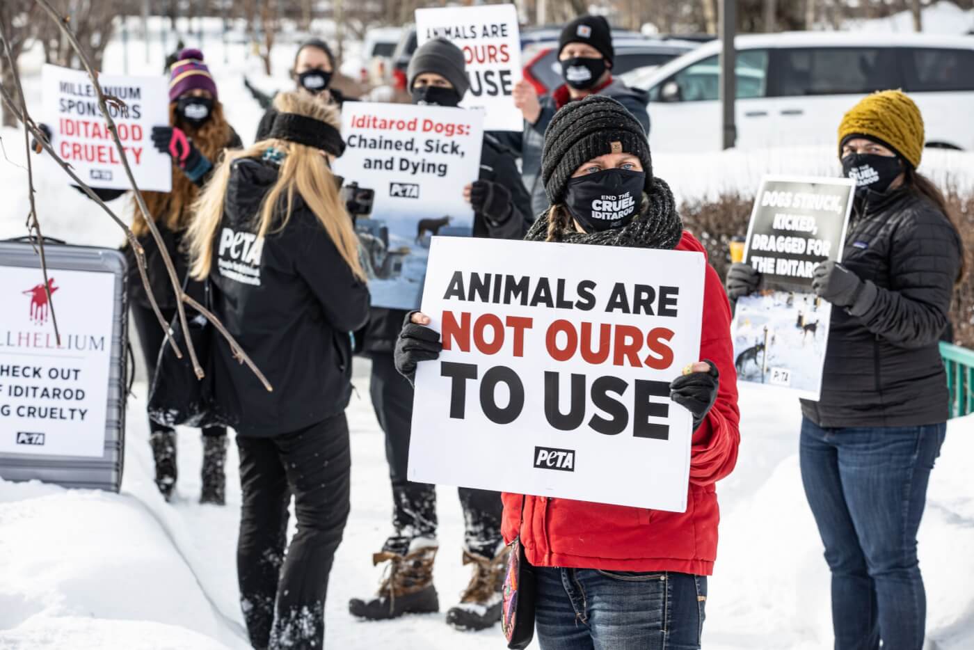 Anchorage Millennium Hotel Iditarod PETA demo