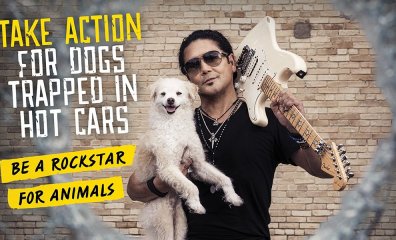 Watch Chris Pérez Use His ‘Selena y Los Dinos’ Guitar to Save Dogs
