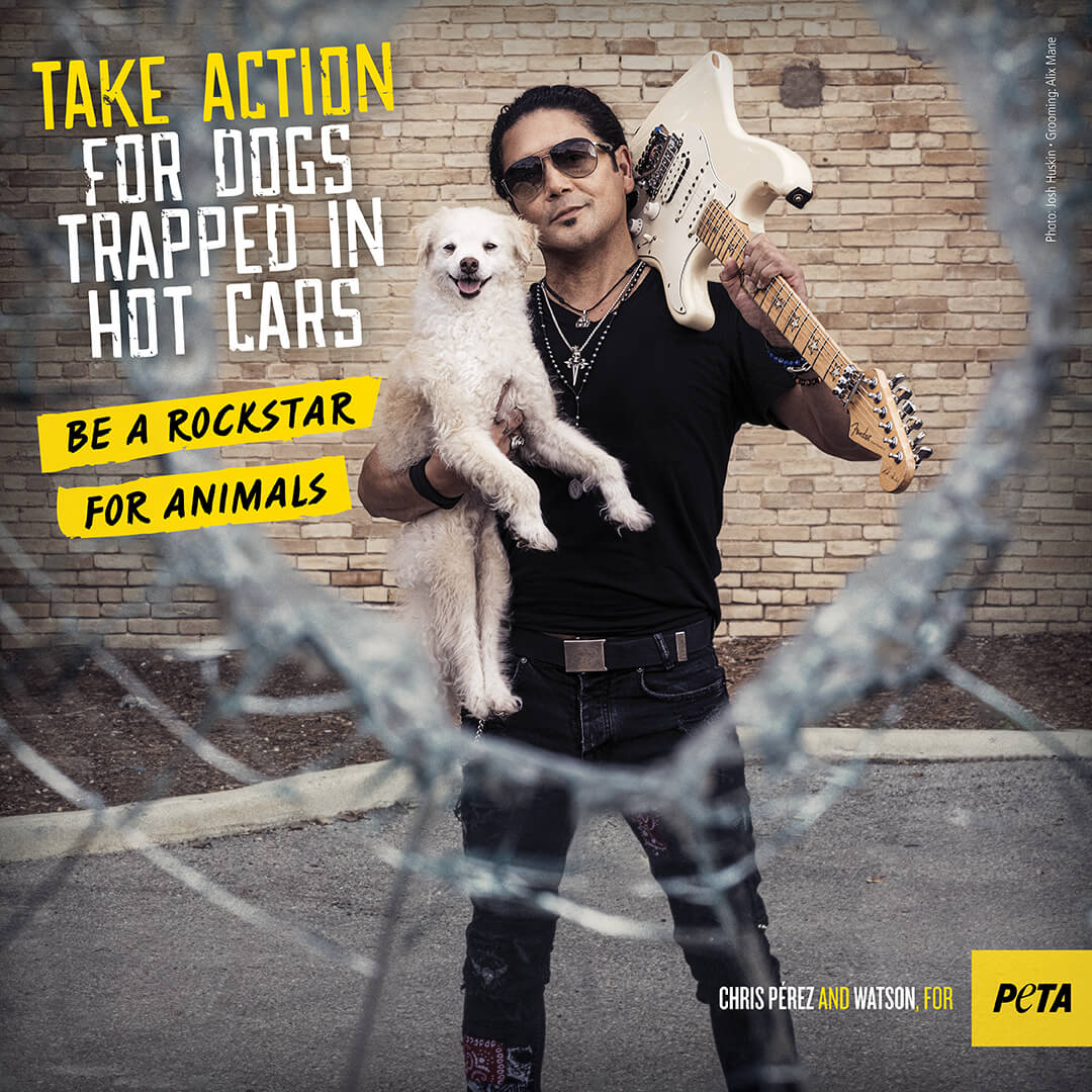 Chris Perez poses with dog, Watson, for PETA
