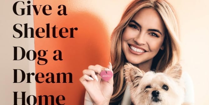 Chrishell Stause: Give A Shelter Dog A Dream Home