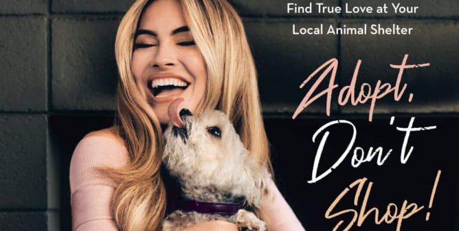 Chrishell Stause: Adopt, Don’t Shop!