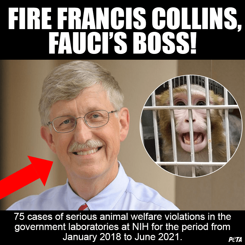 Fire Francis Collins, Fauci's boss
