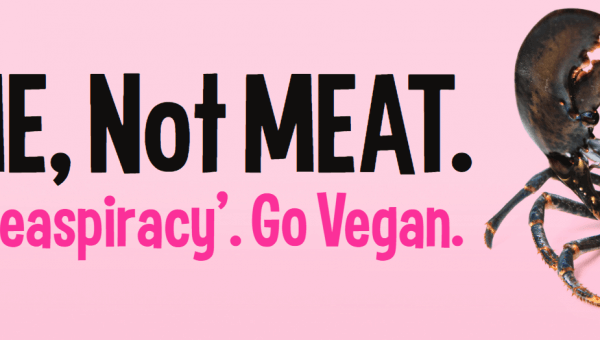 I’m ME, Not MEAT. Watch ‘Seaspiracy’. Go Vegan (Lobster)