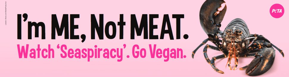 I’m ME, Not MEAT. Watch ‘Seaspiracy’. Go Vegan (Lobster)