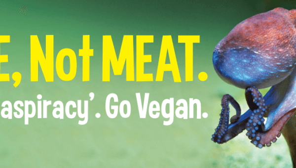 I’m ME, Not MEAT. Watch ‘Seaspiracy’. Go Vegan (Octopus)