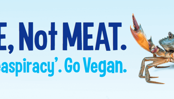 I’m ME, Not MEAT. Watch ‘Seaspiracy’. Go Vegan (Crab)