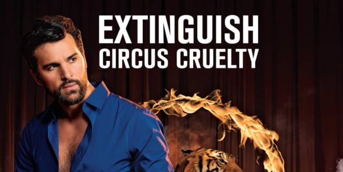 Juan Pablo Di Pace: Extinguish Circus Cruelty