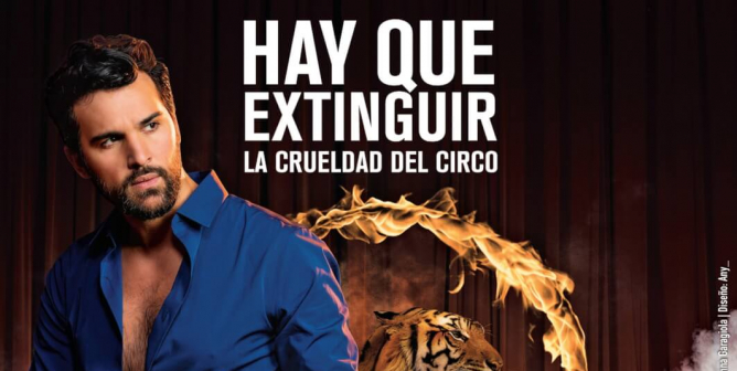 Juan Pablo Di Pace: Hay Que Extinguir La Crueldad Del Circo