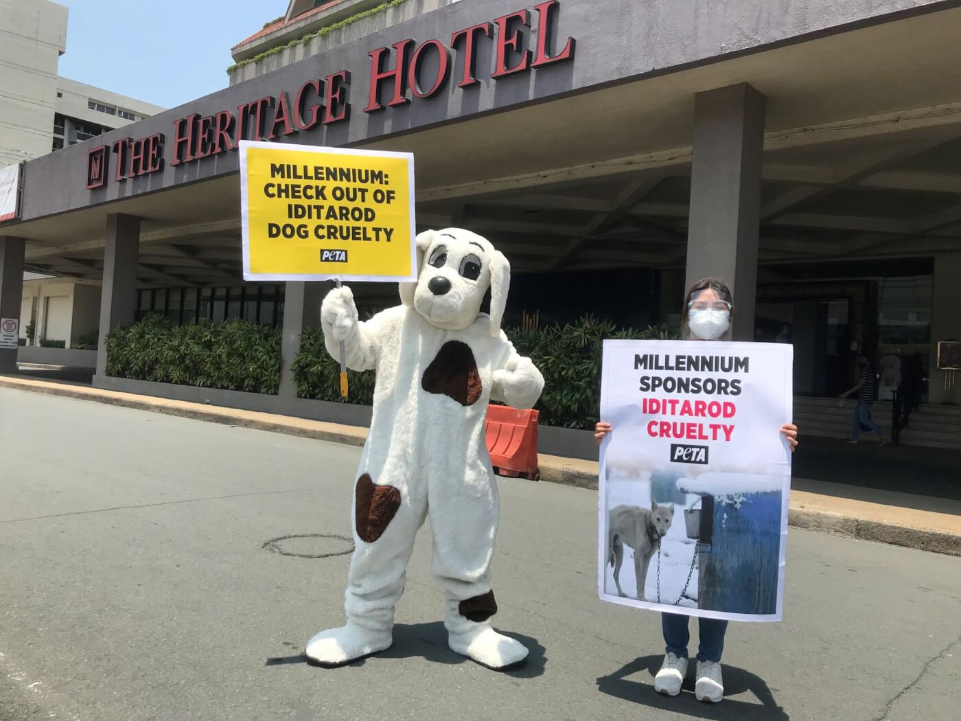 Millennium Hotels Manila PETA protest over Iditarod sponsorship