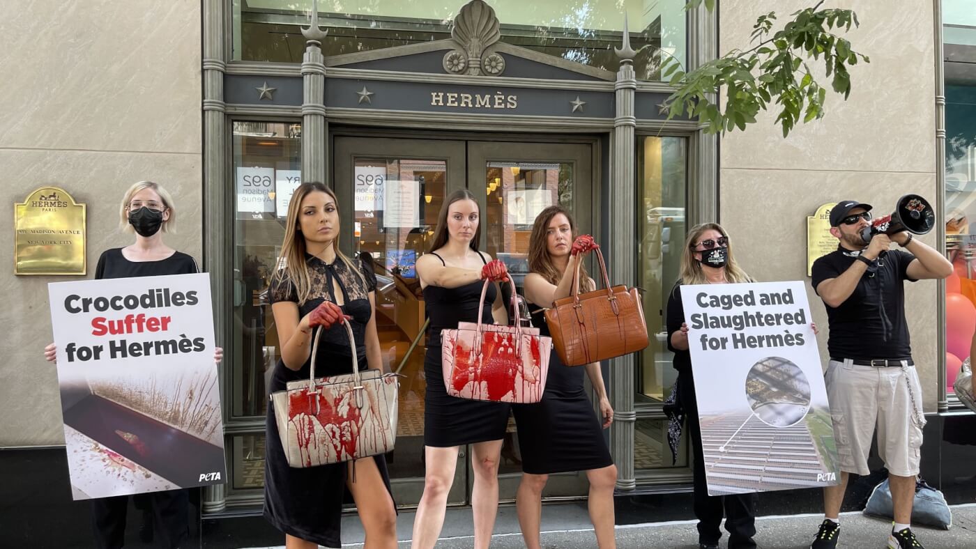 PETA Protests Hermès Crocodile Abuse - Their Turn