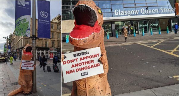 PETA dinosaurs follow Joe Biden to the COP26 conference in Scotland
