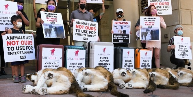 PETA protest Millennium Los Angeles Hotel Iditarod Sponsor