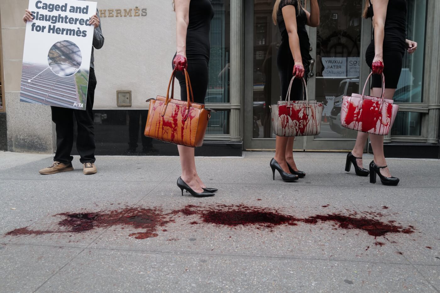 PETA Protests Hermès Crocodile Abuse - Their Turn