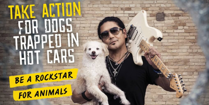 Chris Pérez: Take Action For Dogs Trapped In Hot Cars