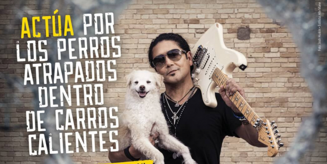 Chris Pérez: Actúa Por Los Perros Atrapados Dentro De Carros Calientes