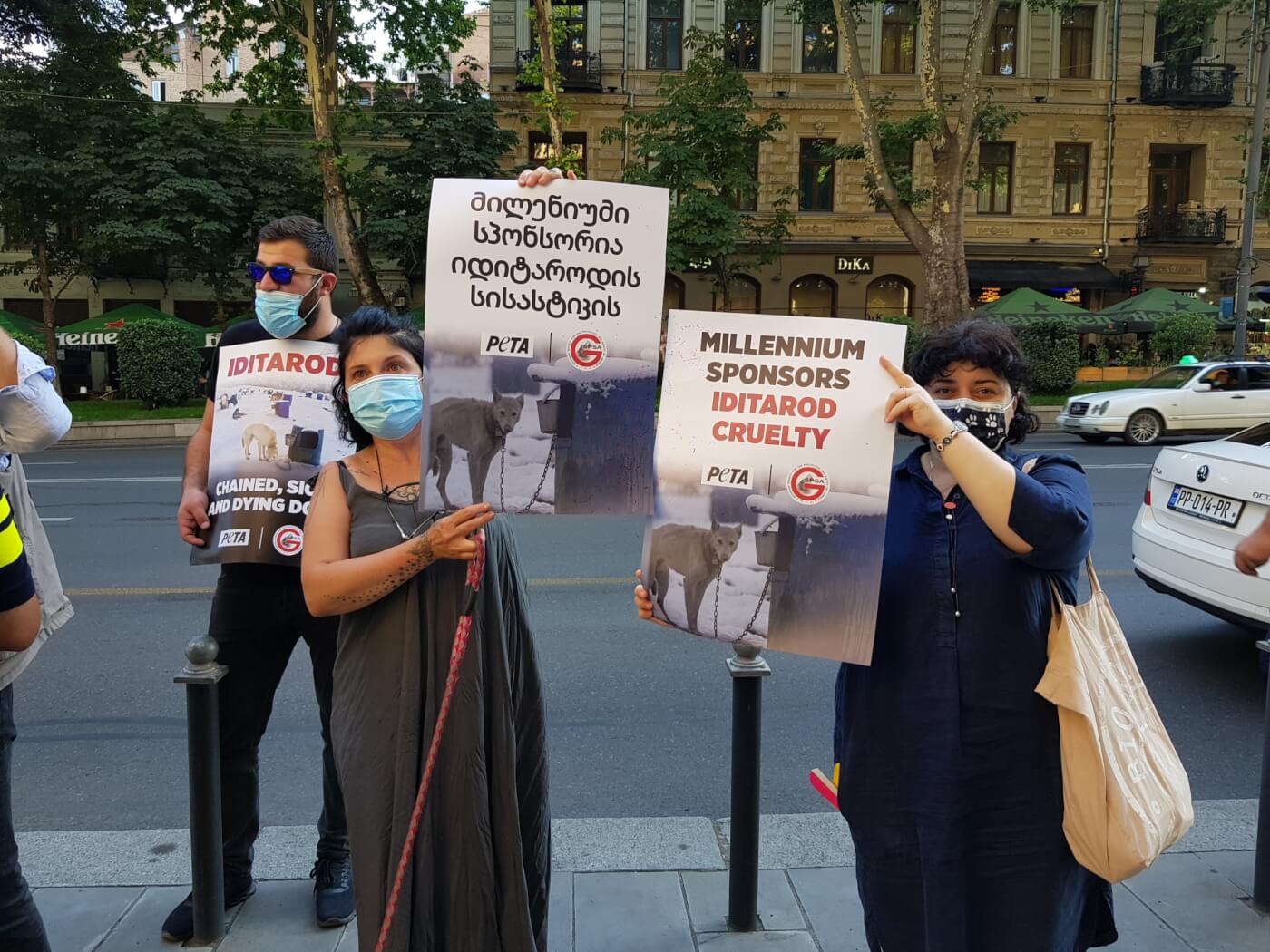 Tbilisi PETA Millennium Hotel Protest