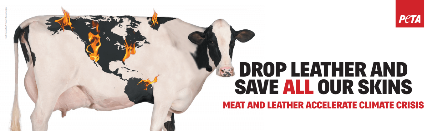 PETA ad that says "drop leather and save all our skins"